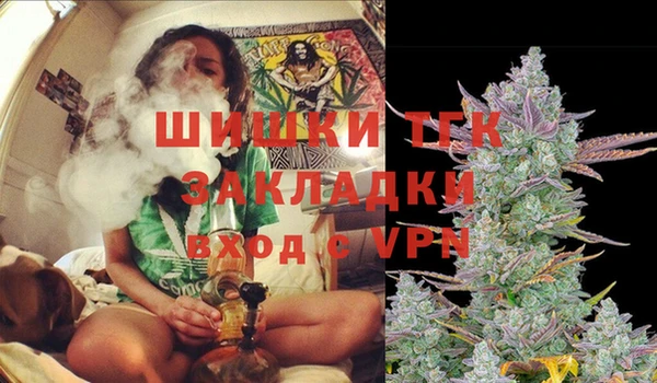 прущие грибы Надым