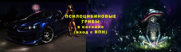 прущие грибы Надым