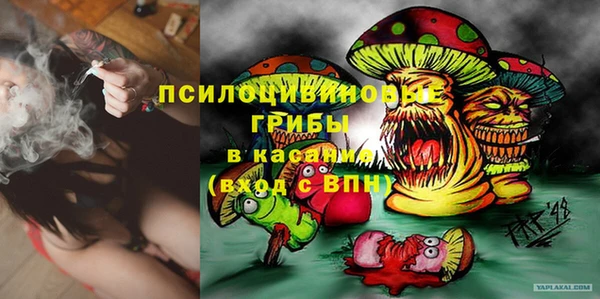 прущие грибы Надым