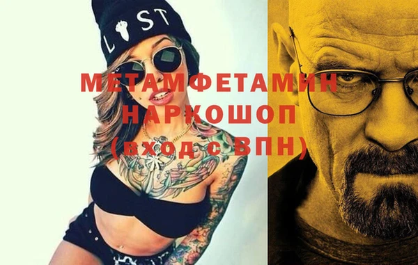 прущие грибы Надым