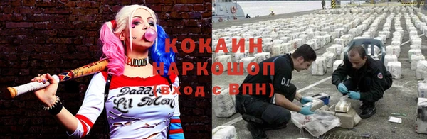 прущие грибы Надым
