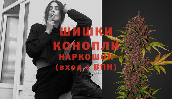 прущие грибы Надым