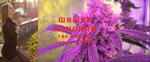 прущие грибы Надым