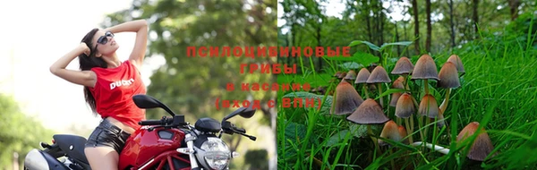 прущие крисы Наволоки