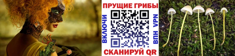 Галлюциногенные грибы Magic Shrooms  нарко площадка официальный сайт  Нижневартовск 