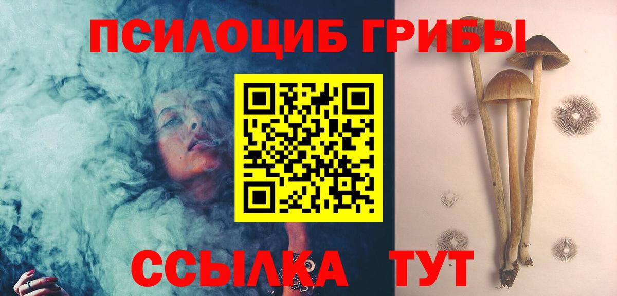 Псилоцибиновые грибы Psilocybine cubensis Нижневартовск